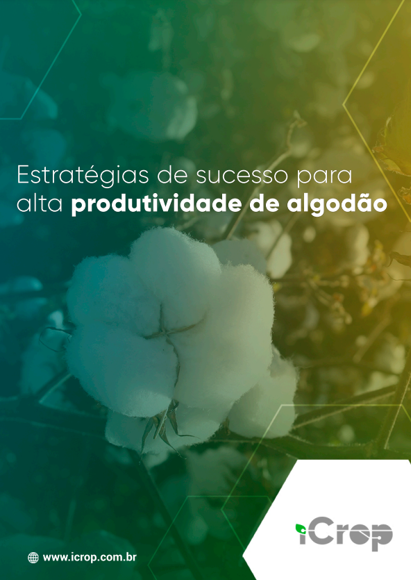 A imagem destaca a capa do e-book "Estratégias de sucesso para alta produtividade de algodão", uma obra especializada que oferece insights valiosos, técnicas avançadas e práticas eficazes para otimizar o cultivo de algodão.