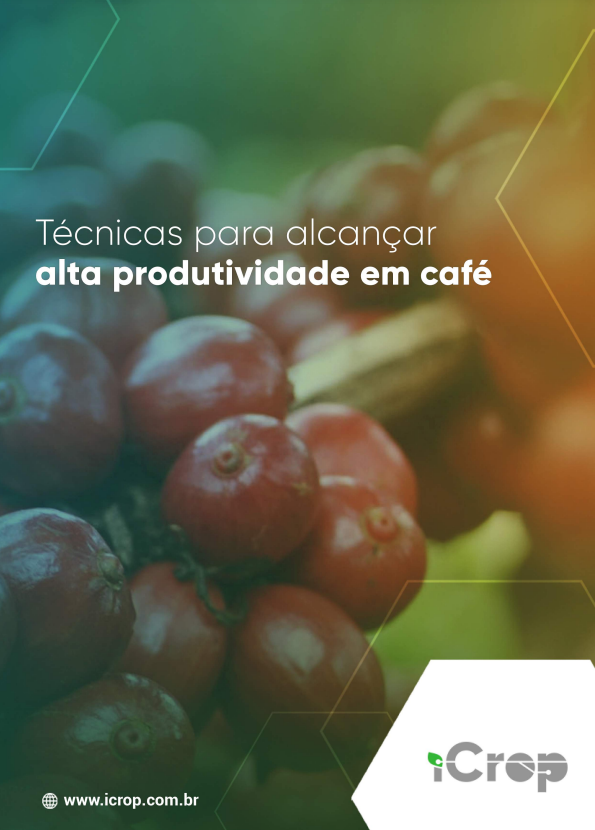 A imagem exibe a capa do e-book "Técnicas para alcançar alta produtividade em café", uma valiosa obra que compartilha conhecimentos, estratégias e técnicas especializadas para produtores de café.